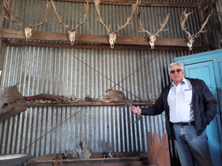 Ciervos en Carhué: Santiago Montenegro los cría en un planteo ganadero con rotación intensiva