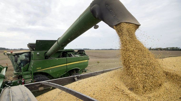 La soja supera los USD 650 la tonelada, su mayor valor en una década