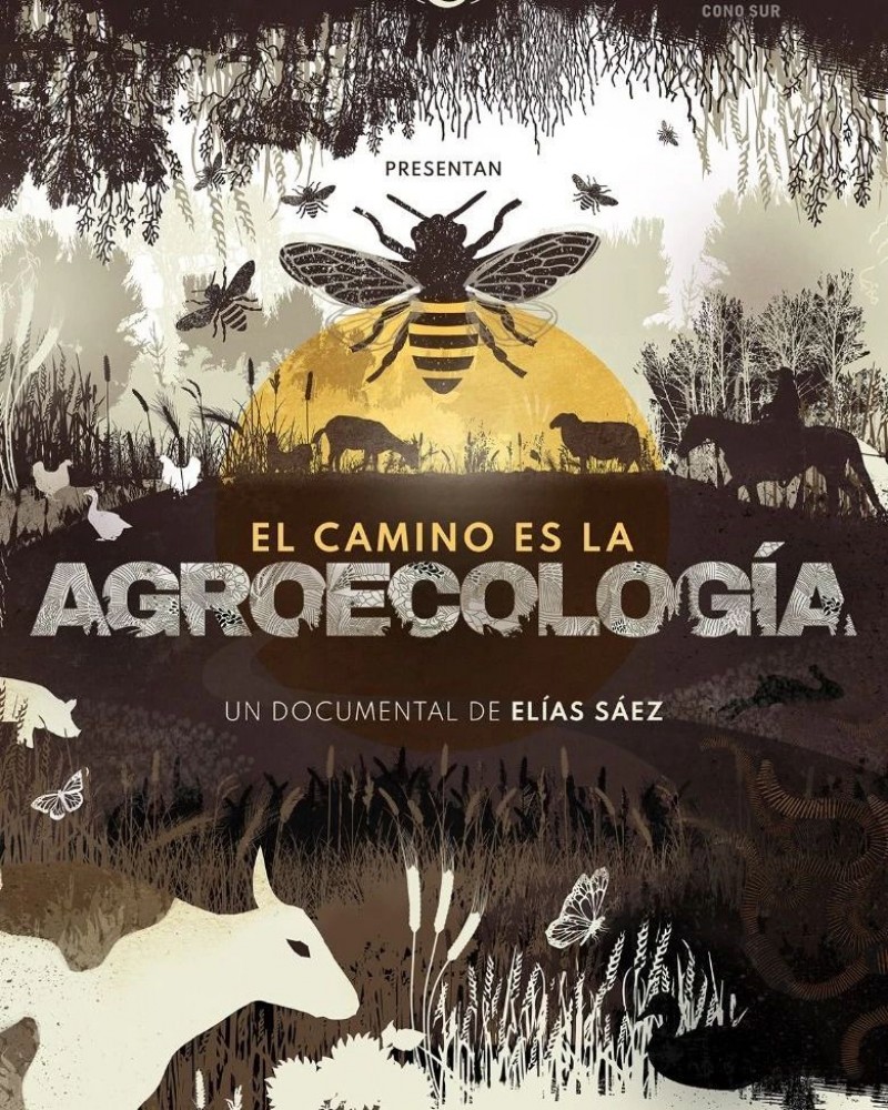 Ofrecen un «Cine Debate Documental» junto a productores agroecológicos en Carhué