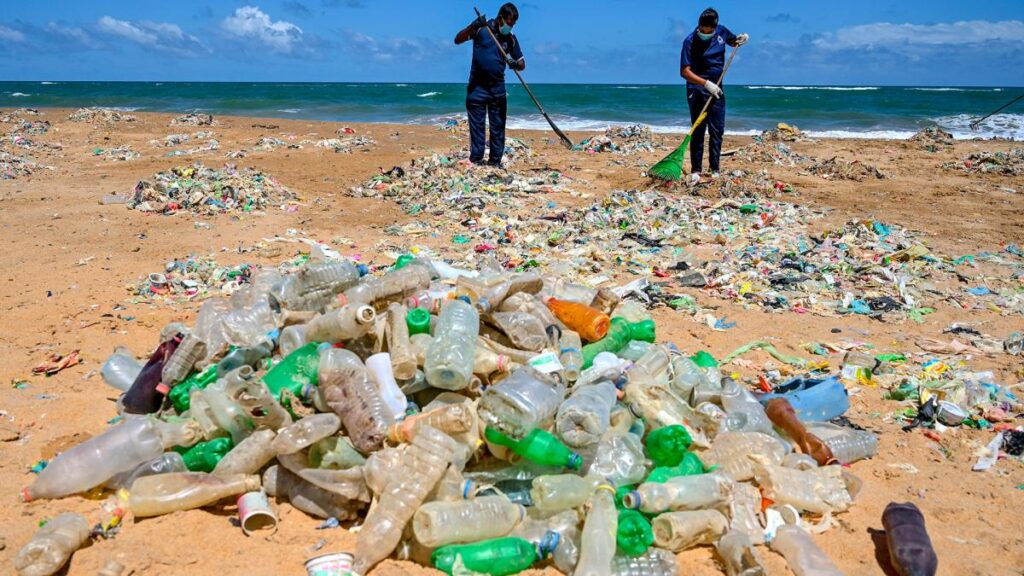 Día Mundial del Ambiente: los plásticos son el eje de la contaminación planetaria