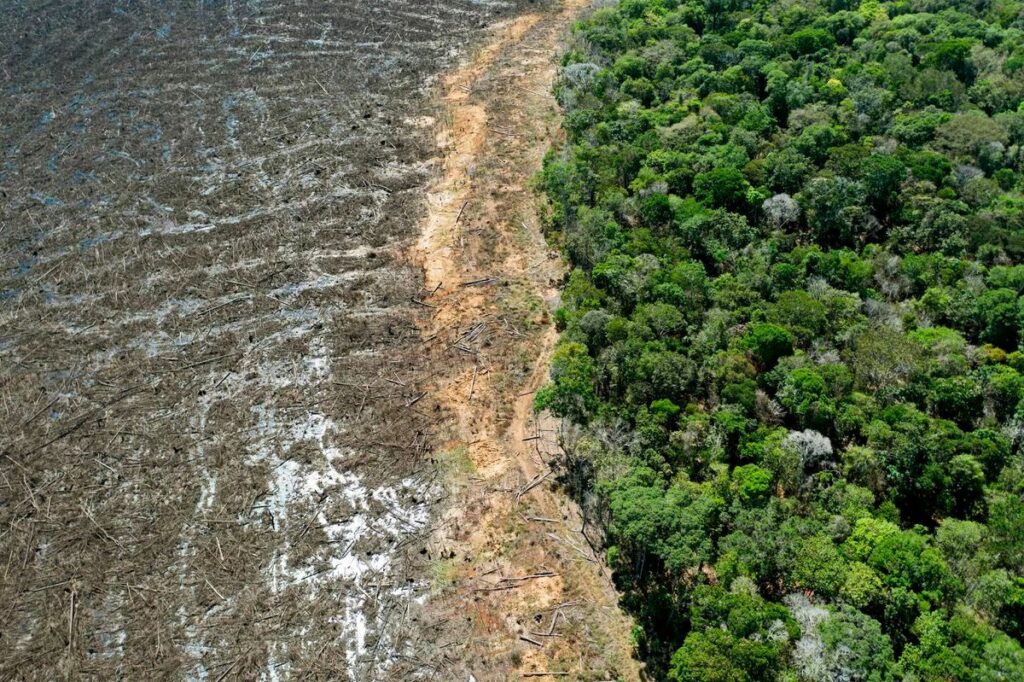 Lula da Silva lanza nuevo plan contra la deforestación en la Amazonia