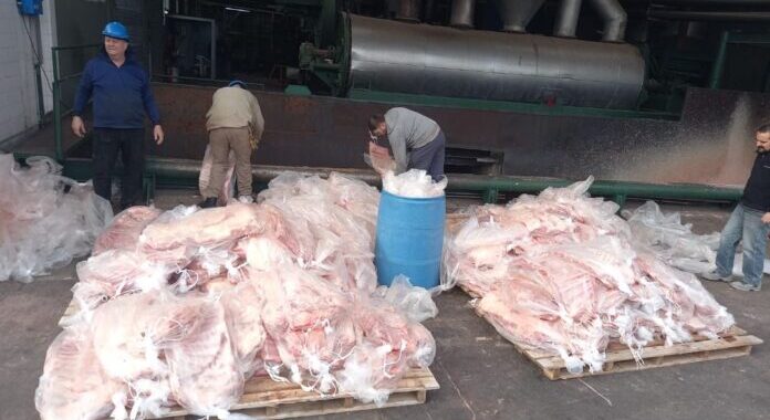 Villarino: decomisan más de 5 toneladas de cargas de carne transportadas de forma ilegal